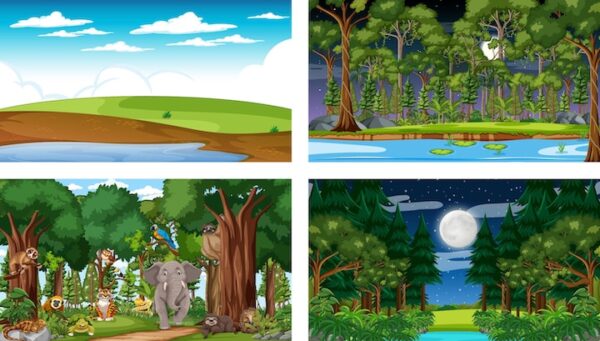 Outside Vector Background Animarky (Adobe Animate Vector)